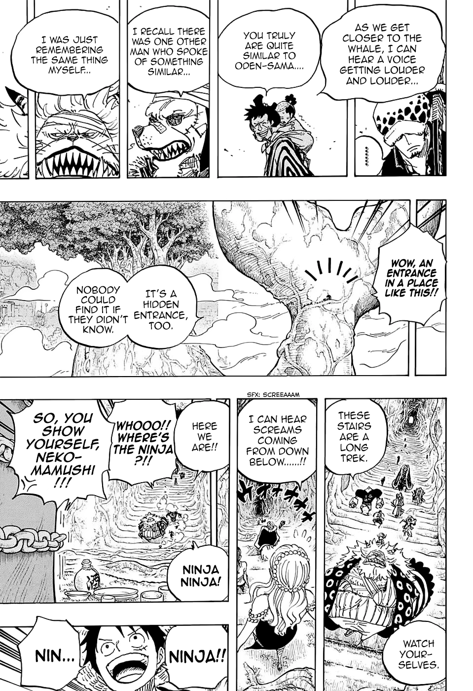 One Piece, Chapter 817 image 14